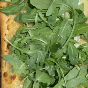 Rucola